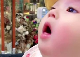 娱乐吃瓜酱人类幼崽,揭秘人类幼崽的萌态与成长