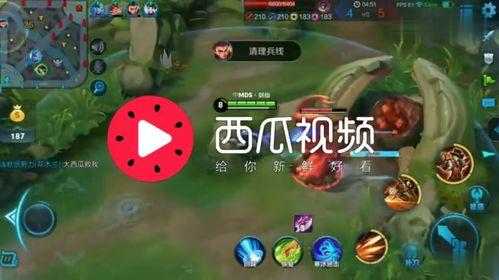 娱乐吃瓜背景音乐,跟随节奏，解锁吃瓜新境界