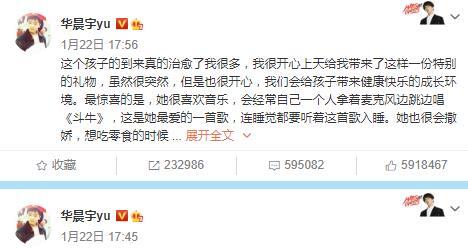 娱乐圈的那个吃瓜文件,真相与谣言的交织