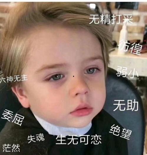 表情图吃瓜是什么意思啊,揭秘“吃瓜”表情图背后的网络文化现象