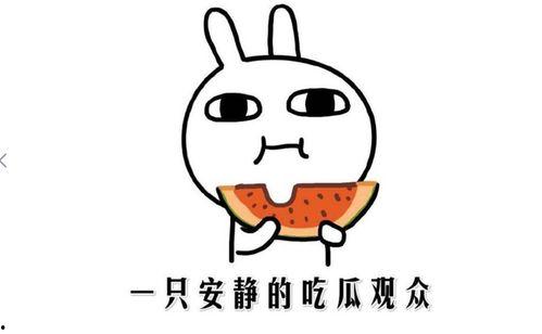 娱乐吃瓜酱主观厌恶定律