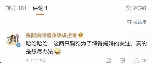 娱乐圈吃瓜Excel,揭秘明星幕后故事与八卦风云